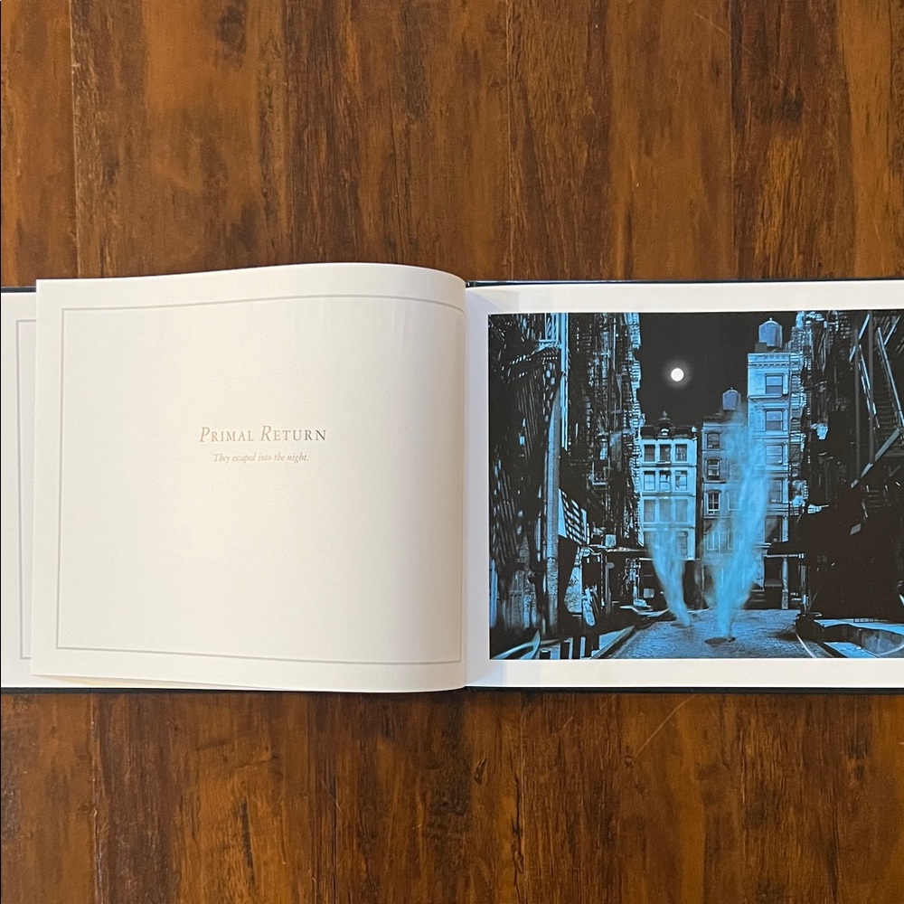 5 /$10 Kids Picture Book | As The City Sleeps by Stephen T. Johnson - Picture 6 of 8